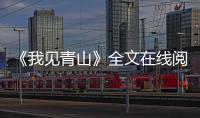 《我见青山》全文