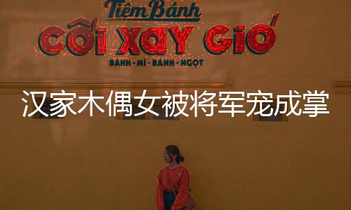 汉家木偶女被将军宠成掌心宝
