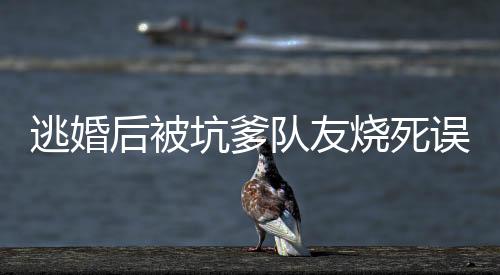 《穿书成恶毒女配，我创死霸总全家》全文在线阅读