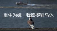 重生为婢，我撺掇