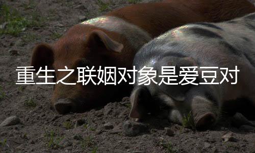 《重生年代大院娇媳美又飒》全文在线阅读