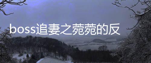 《穿书后，她在八十年代发家致富》全文在线阅读